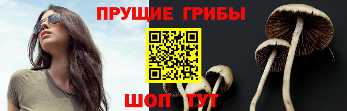 Галлюциногенные грибы GOLDEN TEACHER Всеволожск